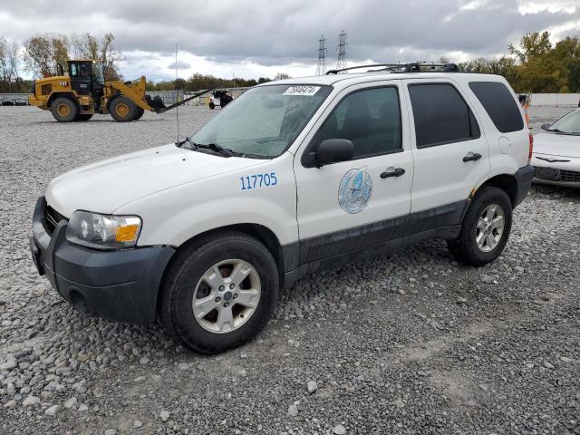 FORD ESCAPE XLT 2005 1fmyu93175ke39901