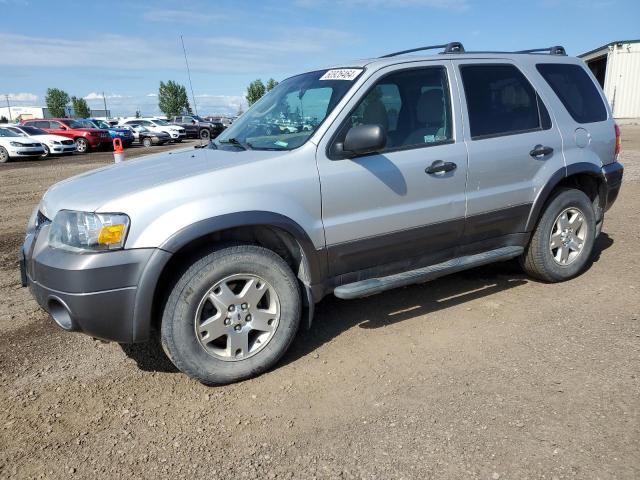 FORD ESCAPE 2006 1fmyu93176ka10064