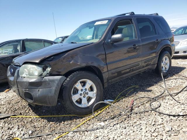 FORD ESCAPE 2006 1fmyu93176kc34242