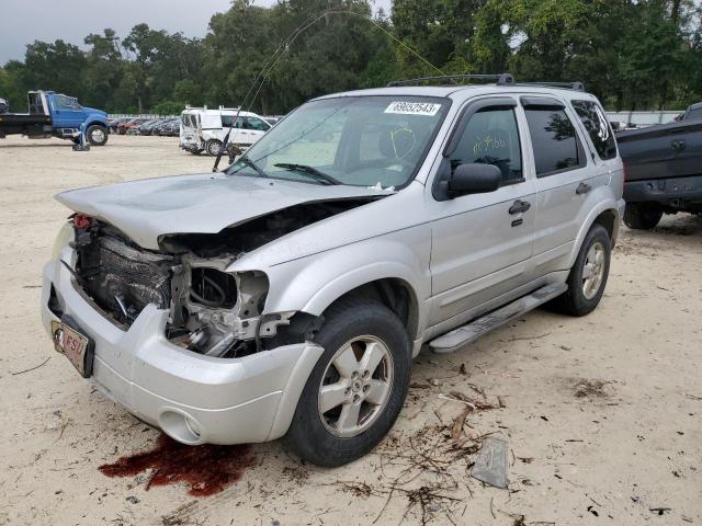 FORD ESCAPE XLT 2007 1fmyu93177ka36441