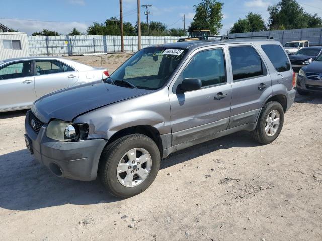 FORD ESCAPE XLT 2007 1fmyu93177ka84974