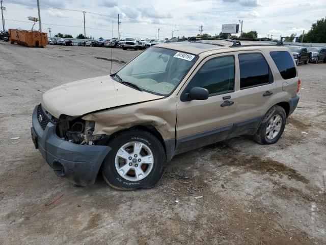 FORD ESCAPE XLT 2007 1fmyu93177ka93139