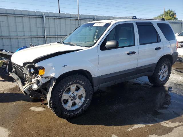 FORD ESCAPE XLT 2005 1fmyu93185kc92889