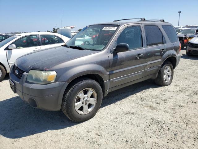 FORD ESCAPE XLT 2006 1fmyu93186kc23914