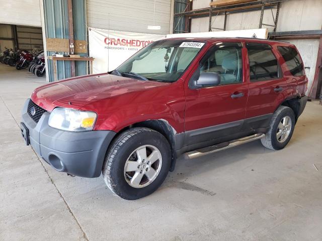 FORD ESCAPE XLT 2007 1fmyu93187ka29207