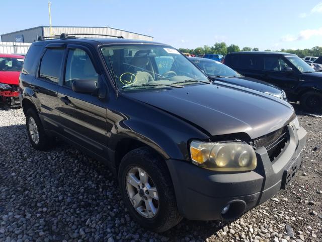 FORD ESCAPE XLT 2007 1fmyu93187ka38747