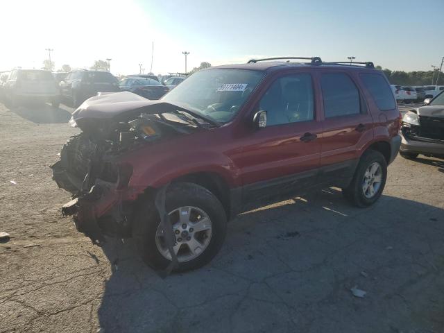 FORD ESCAPE XLT 2005 1fmyu93195ka78414