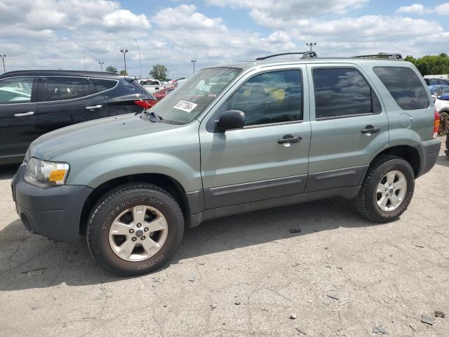 FORD ESCAPE XLT 2005 1fmyu93z05kd43520