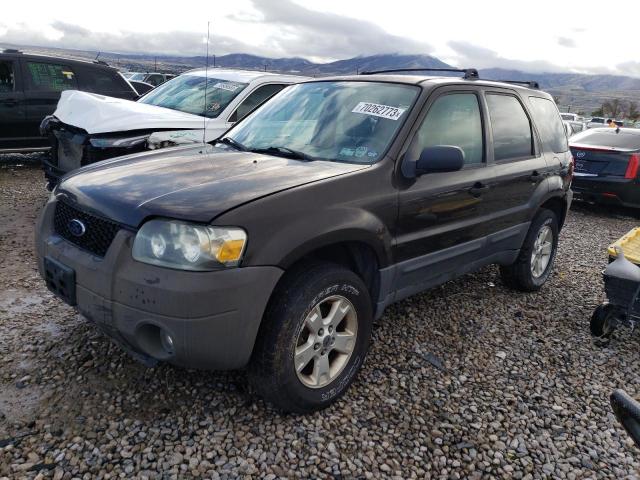 FORD ESCAPE XLT 2006 1fmyu93z36kb46794