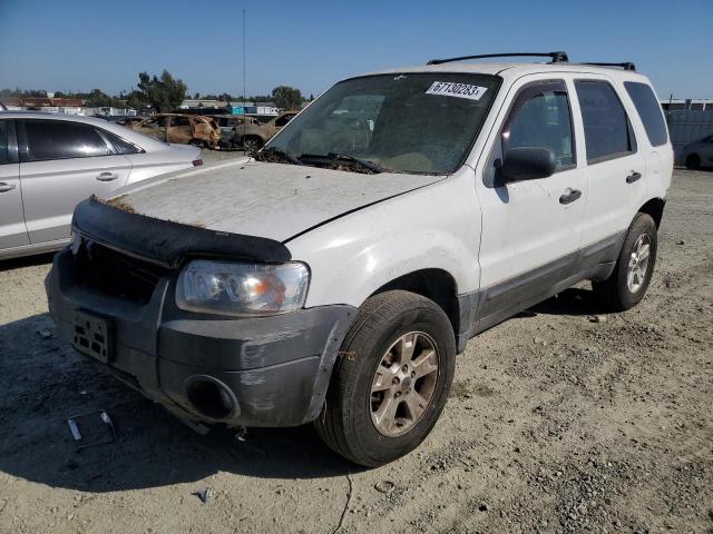 FORD ESCAPE XLT 2005 1fmyu93z55kb24696