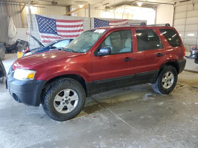 FORD ESCAPE XLT 2007 1fmyu93z77ka76279