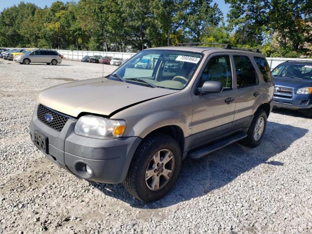 FORD ESCAPE XLT 2007 1fmyu93zx7kb37639