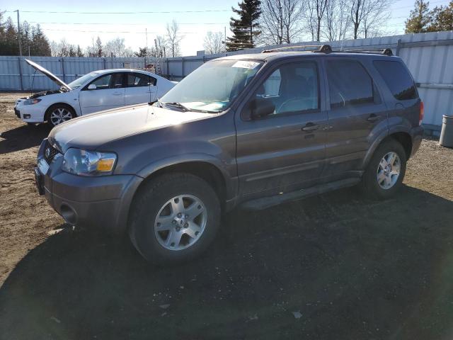 FORD ESCAPE 2006 1fmyu94106kc40236