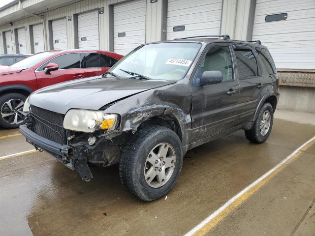 FORD ESCAPE 2005 1fmyu94115kb18984