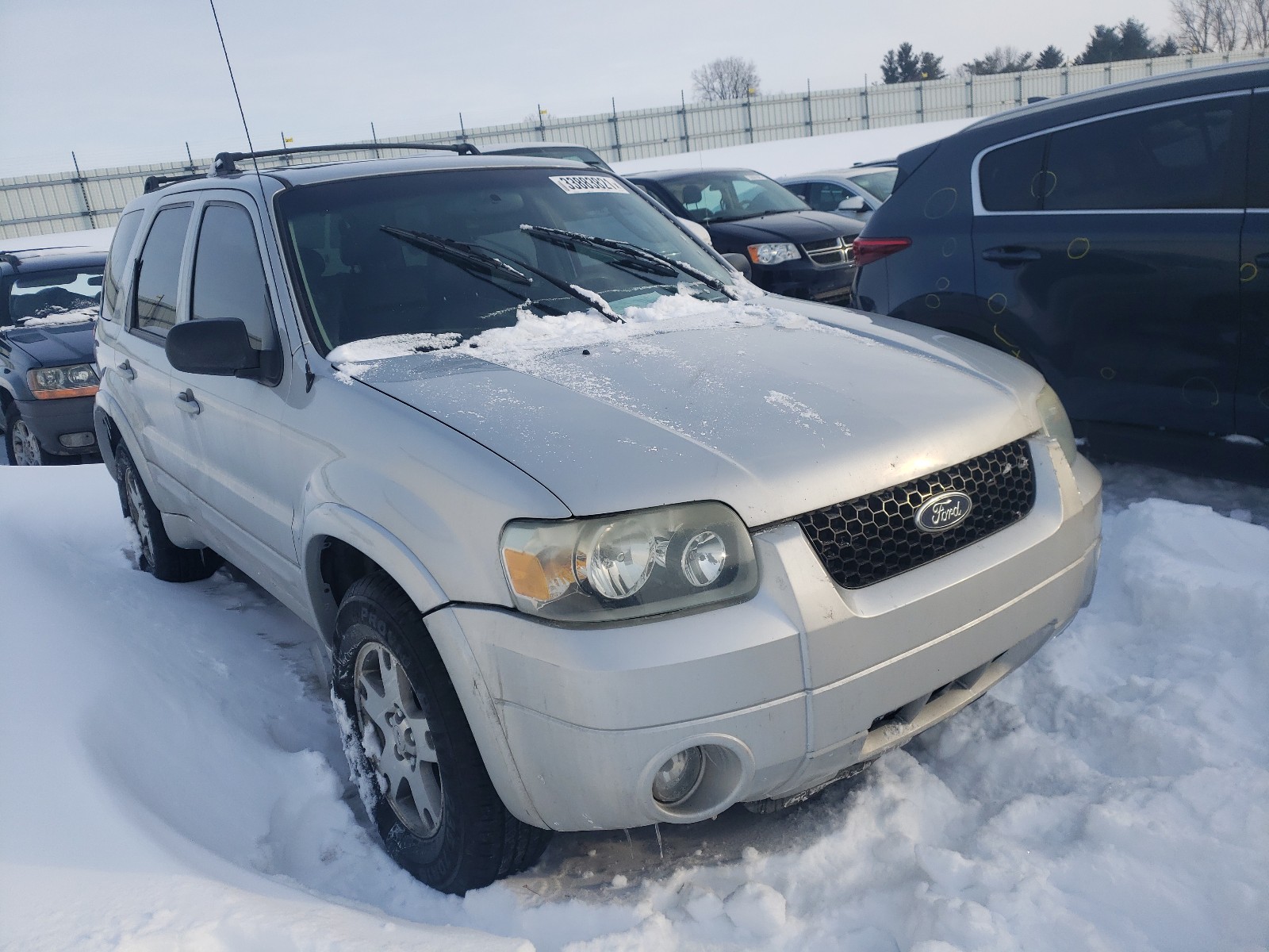 FORD ESCAPE LIM 2005 1fmyu94135kd99928