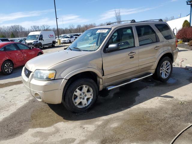 FORD ESCAPE 2007 1fmyu94137ka04603