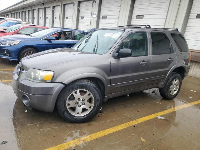 FORD ESCAPE 2005 1fmyu94145ka65620