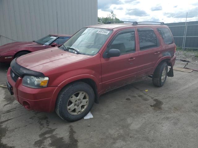 FORD ESCAPE 2006 1fmyu94156kd49677