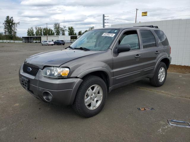 FORD ESCAPE 2006 1fmyu94166kb57653