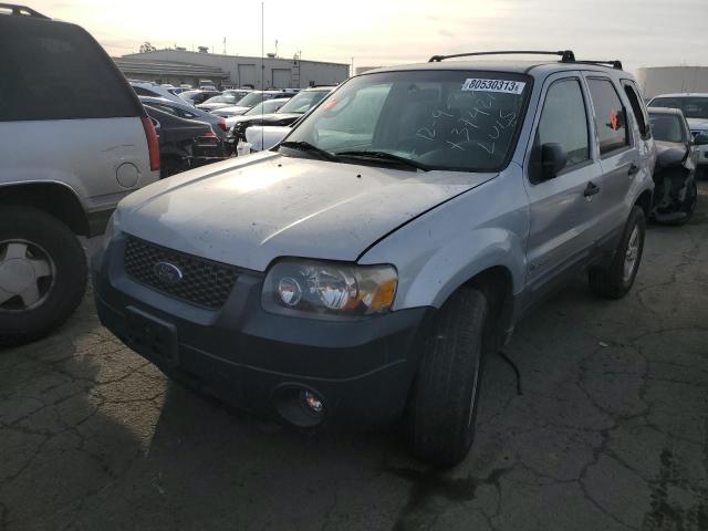 FORD ESCAPE 2006 1fmyu95h26kc15754