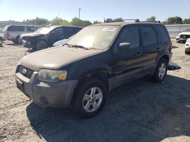 FORD ESCAPE 2006 1fmyu95h26kc50620