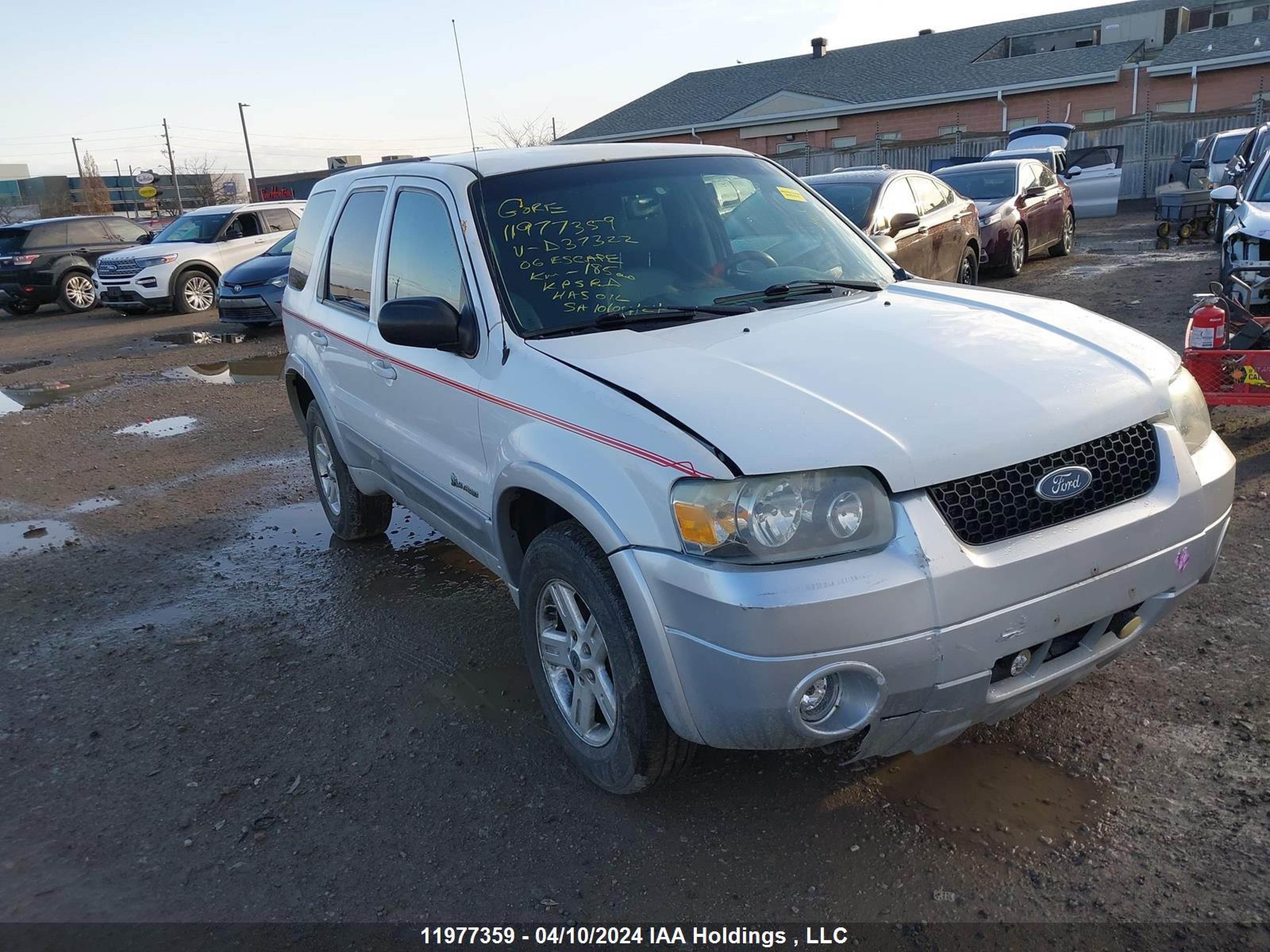 FORD ESCAPE 2006 1fmyu95h26kd37322