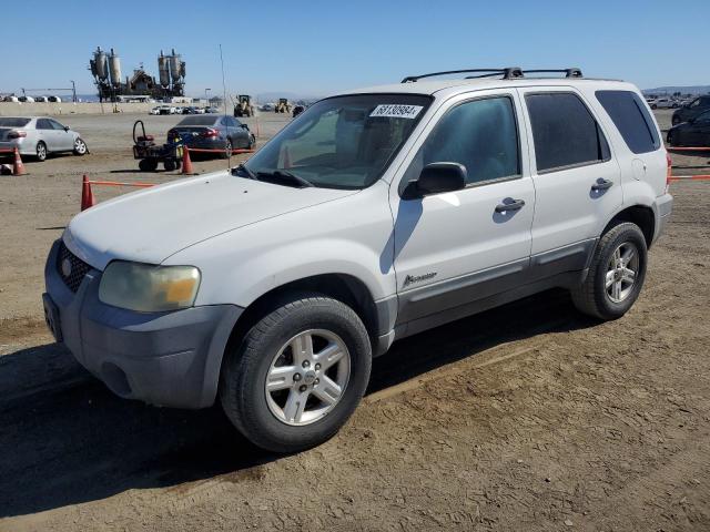 FORD ESCAPE HEV 2006 1fmyu95h36kd48880