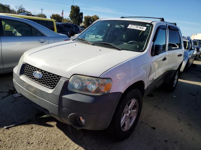 FORD ESCAPE 2006 1fmyu96h46kd26529