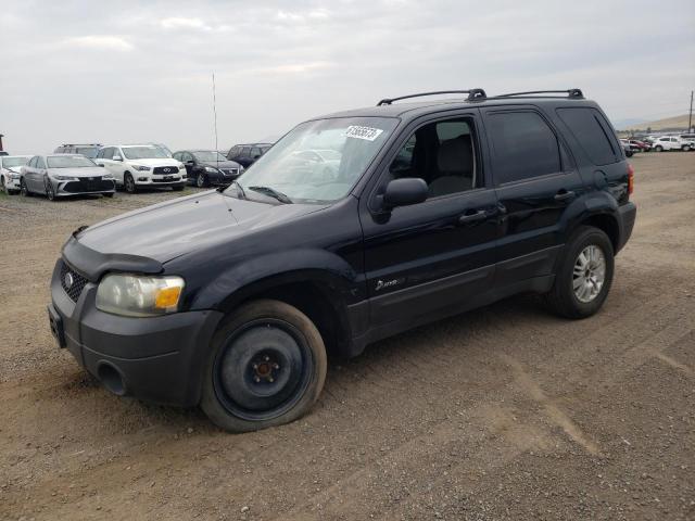 FORD ESCAPE HEV 2006 1fmyu96h56kc95808