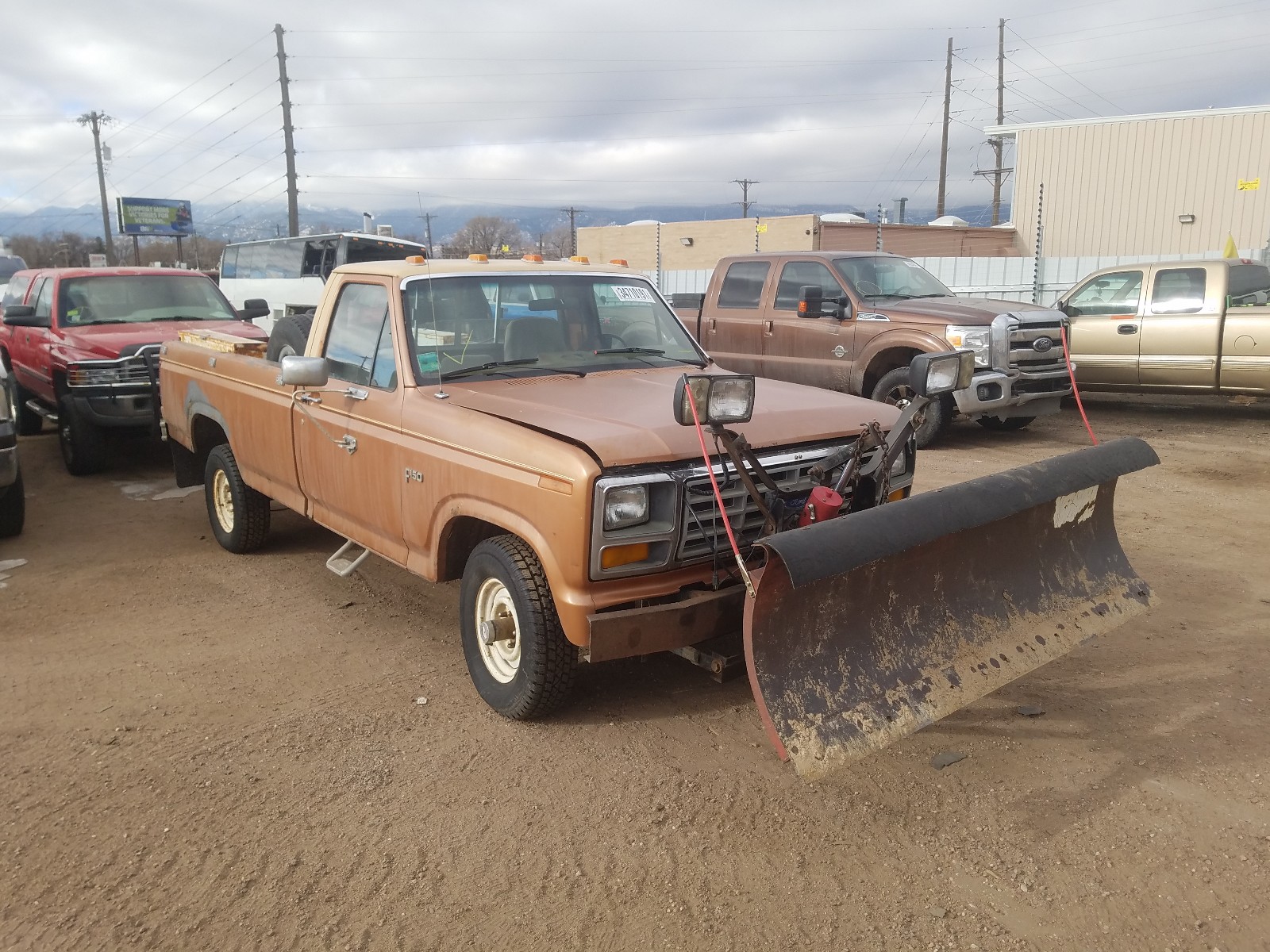 FORD F-150 1982 1ftdf14gxcpa31197