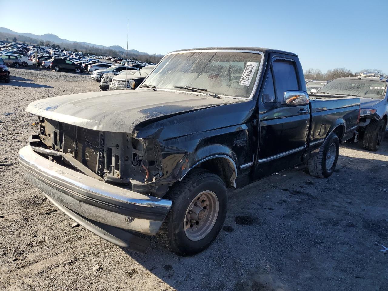 FORD F-150 1993 1ftdf15n3pnb29566