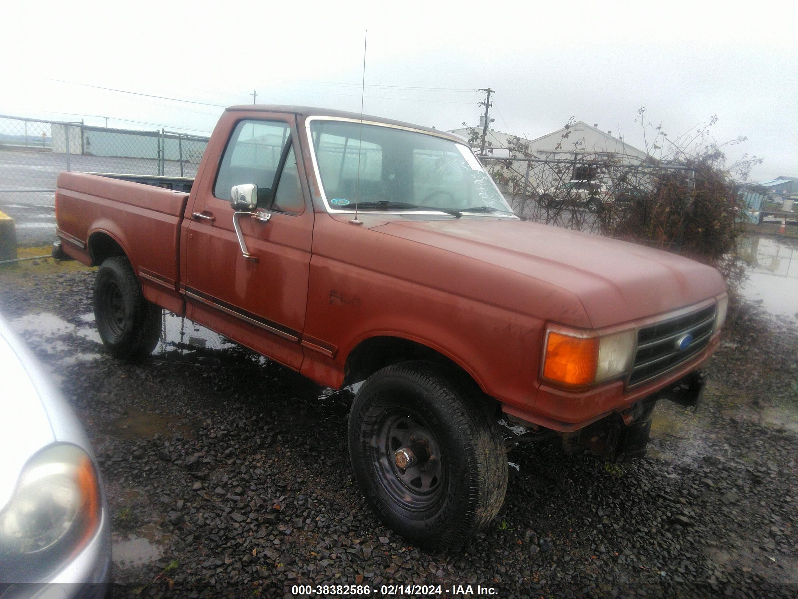 FORD F-150 1989 1ftef14y0kpb28503