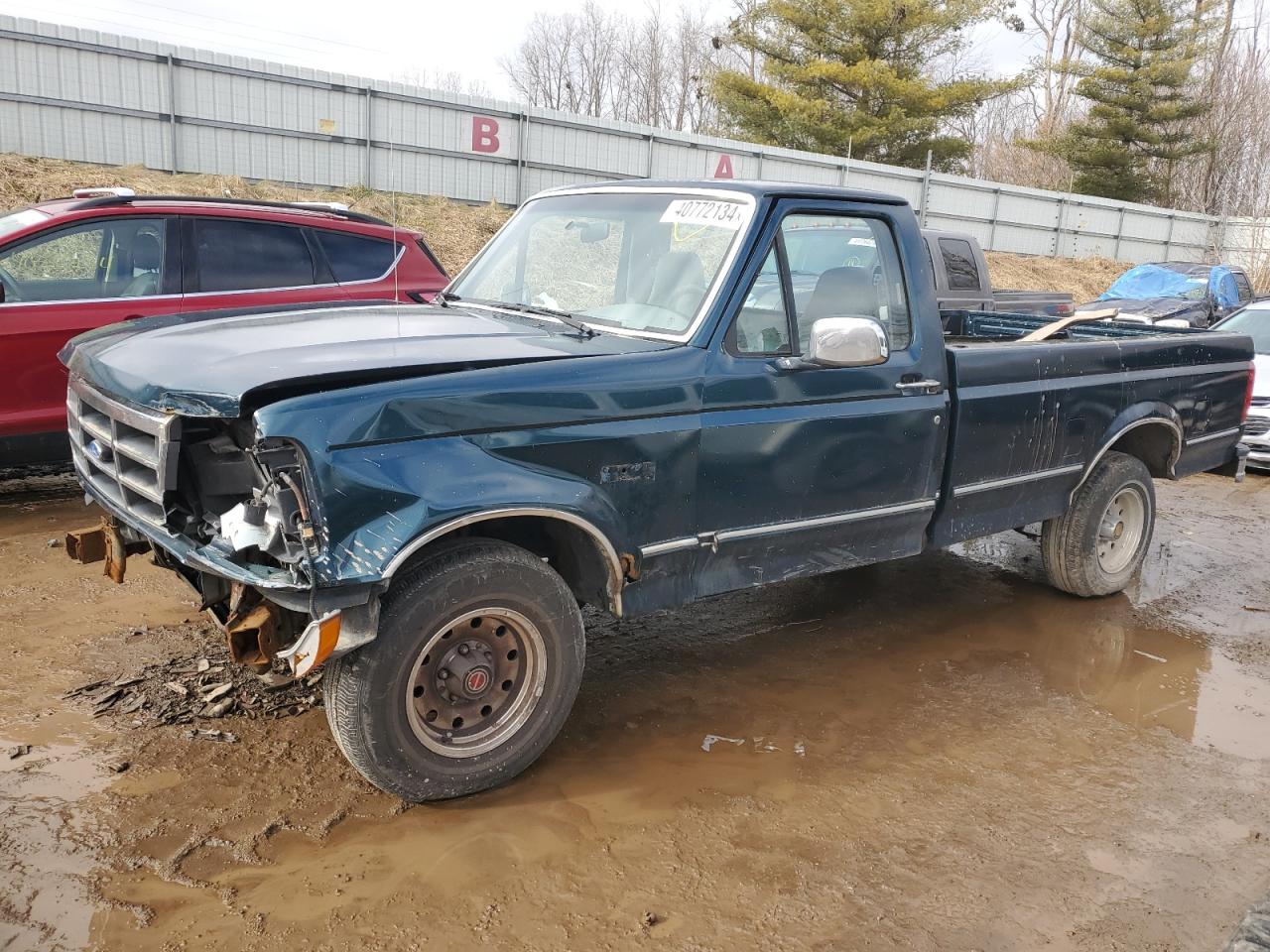 FORD F-150 1994 1ftef15n8rla75975