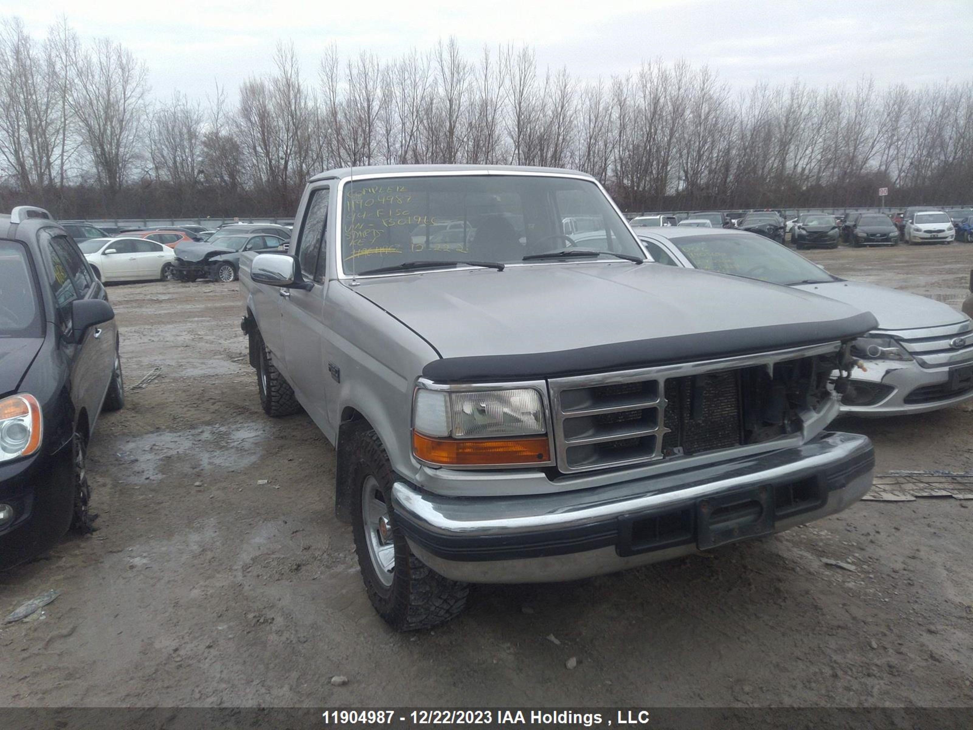 FORD F-150 1994 1ftef15y3rlb01960