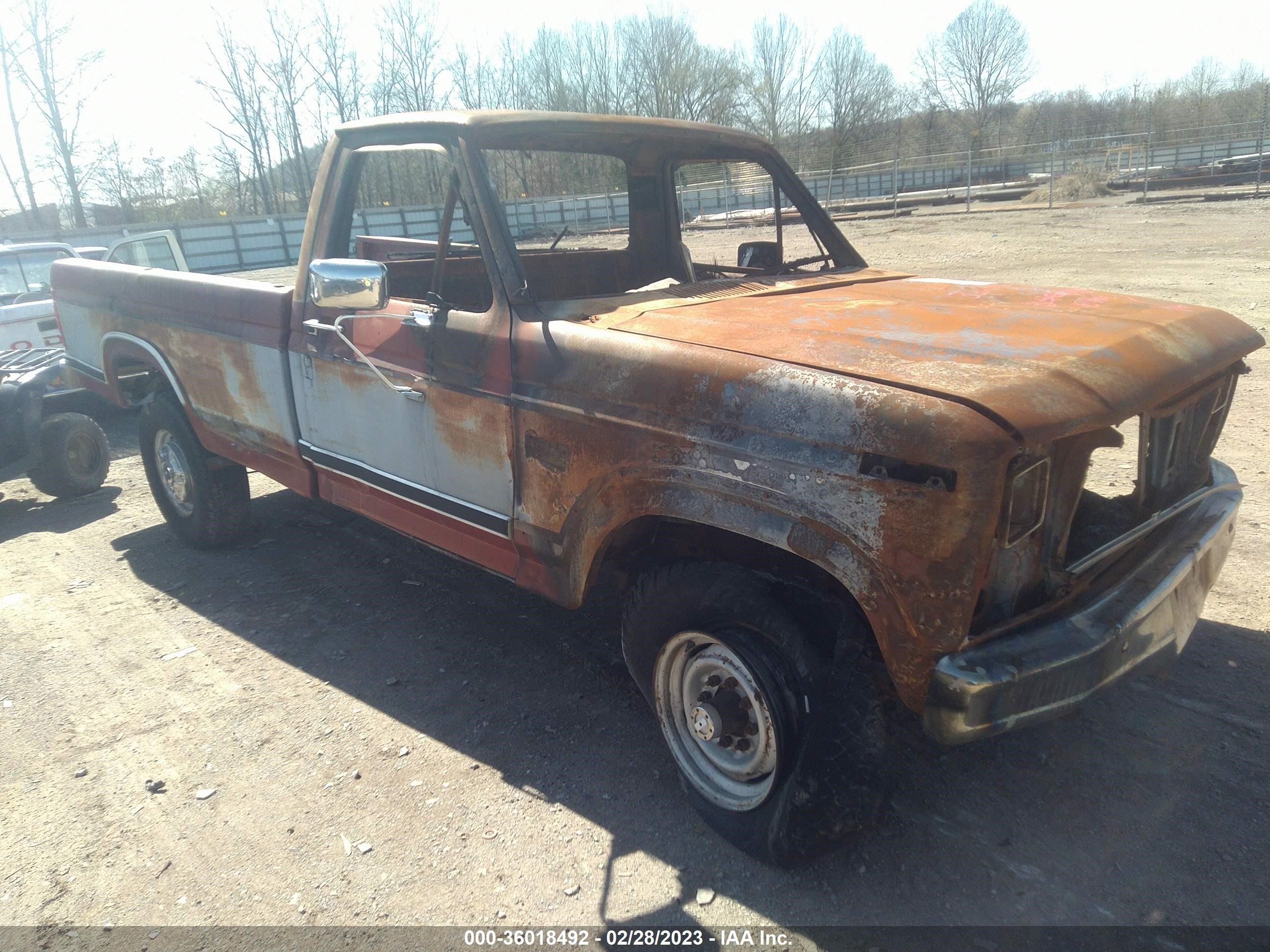 FORD F250 1986 1ftef26n7gnb55824