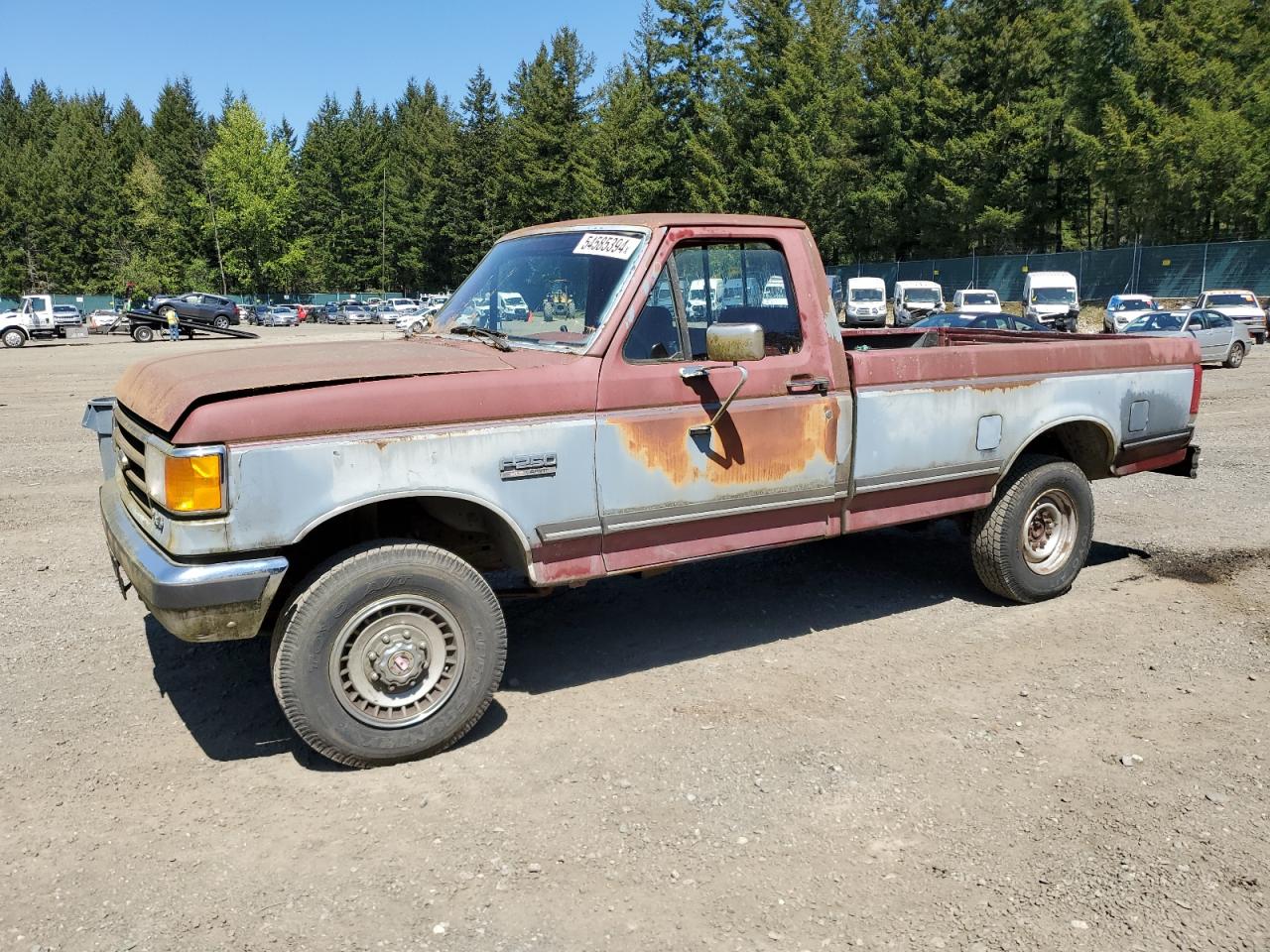 FORD F250 1989 1ftef26n9kpa85093