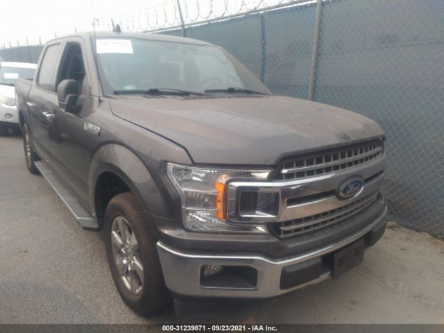 FORD F-150 2019 1ftew1c4xkkf18603