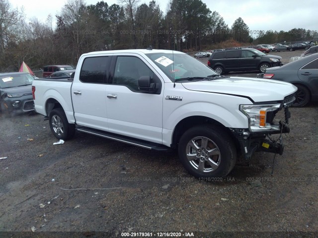 FORD F-150 2019 1ftew1c5xkfa52818