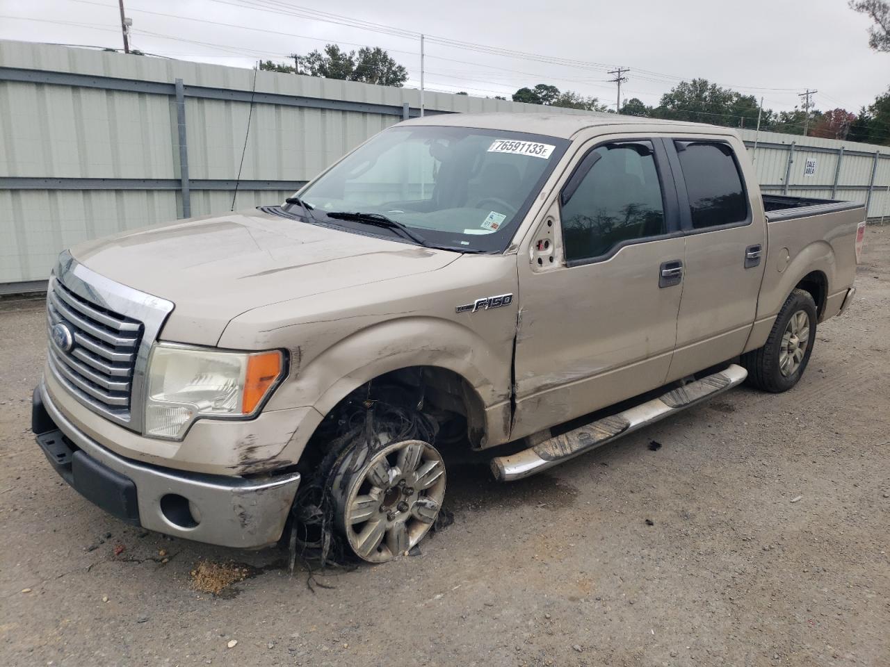 FORD F-150 2010 1ftew1c80afa56935