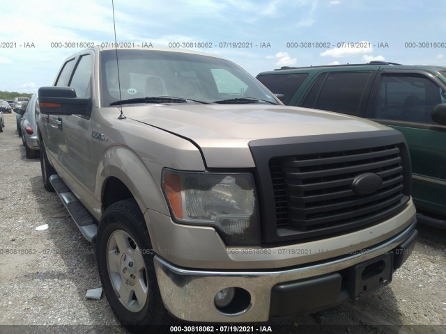 FORD F-150 2010 1ftew1c80afa60645