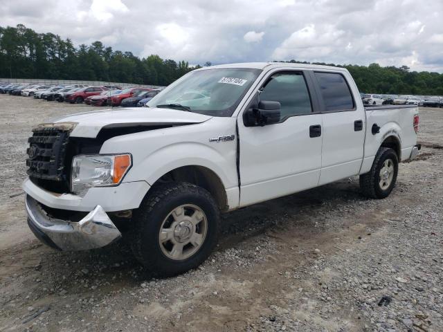 FORD F-150 2010 1ftew1c80afa61049