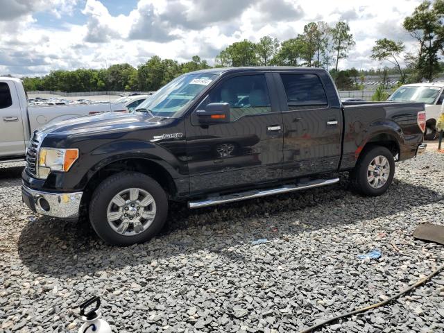 FORD F-150 2010 1ftew1c80afb29950