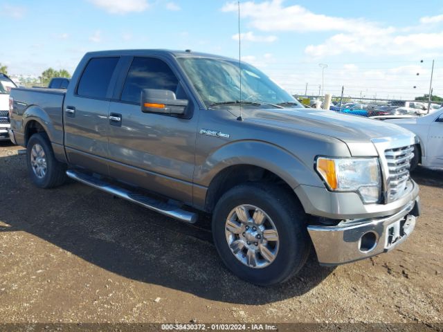 FORD F-150 2010 1ftew1c80afb38986