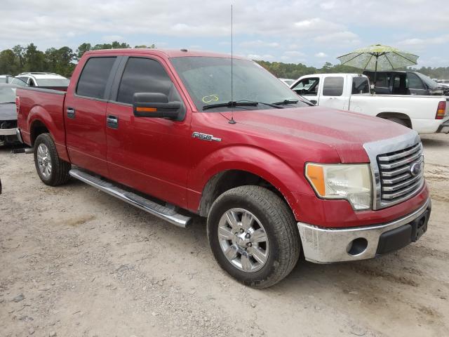 FORD F150 SUPER 2010 1ftew1c80afb66996