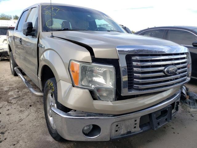 FORD F150 SUPER 2010 1ftew1c80afb69686