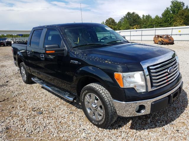 FORD F150 SUPER 2010 1ftew1c80afb73964