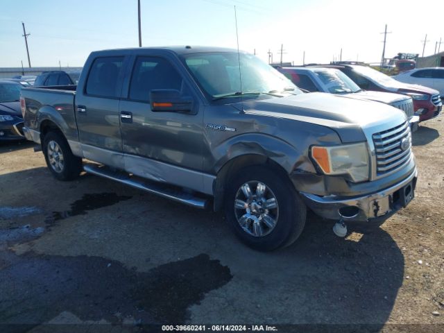 FORD F-150 2010 1ftew1c80afc16165