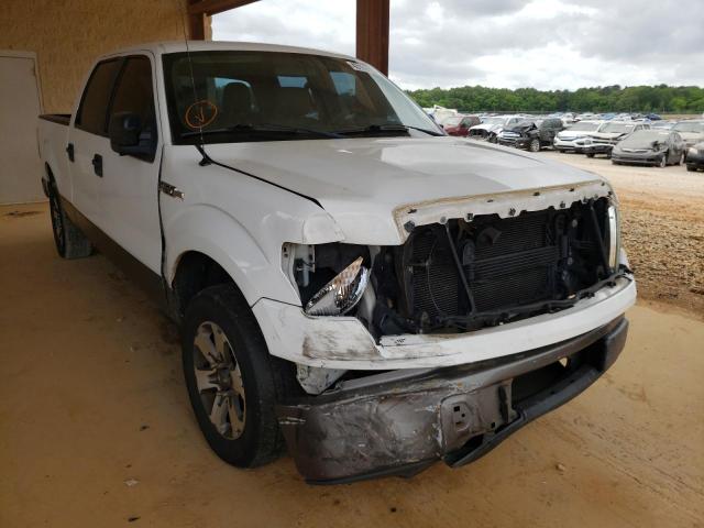 FORD F150 SUPER 2010 1ftew1c80afc17459