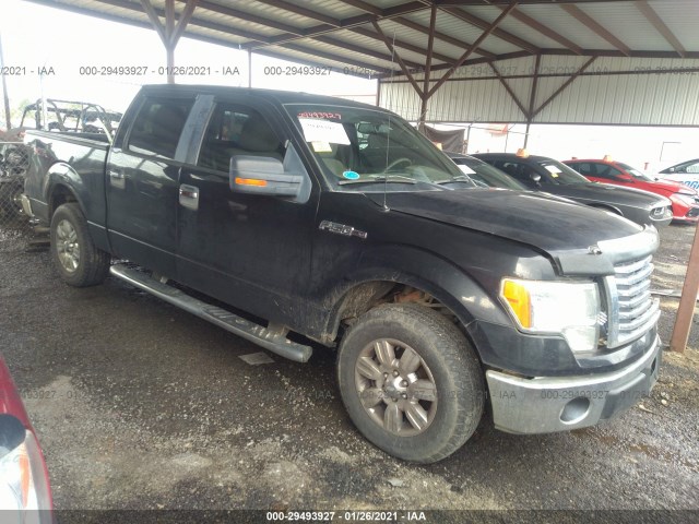 FORD F-150 2010 1ftew1c80afc18644