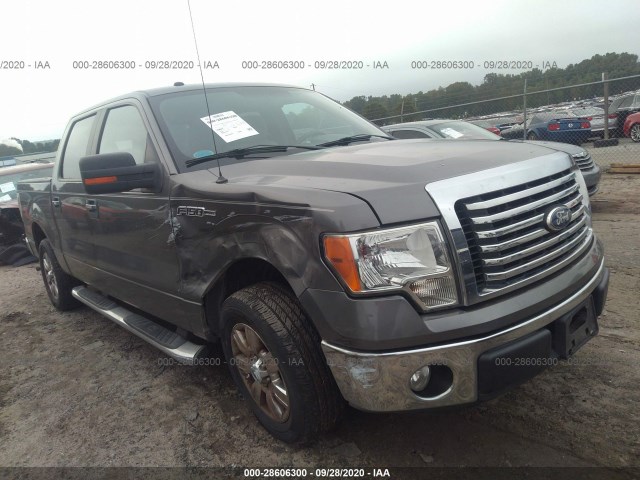 FORD F-150 2010 1ftew1c80afc94901